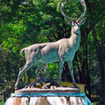 parque los venados