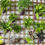 decoracion muro verde pared plantas llave