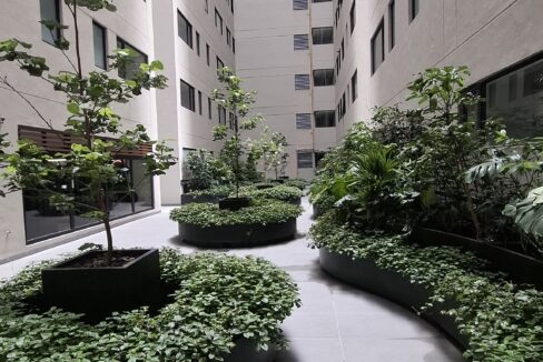 bosques 13