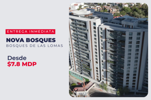 Nova bosques