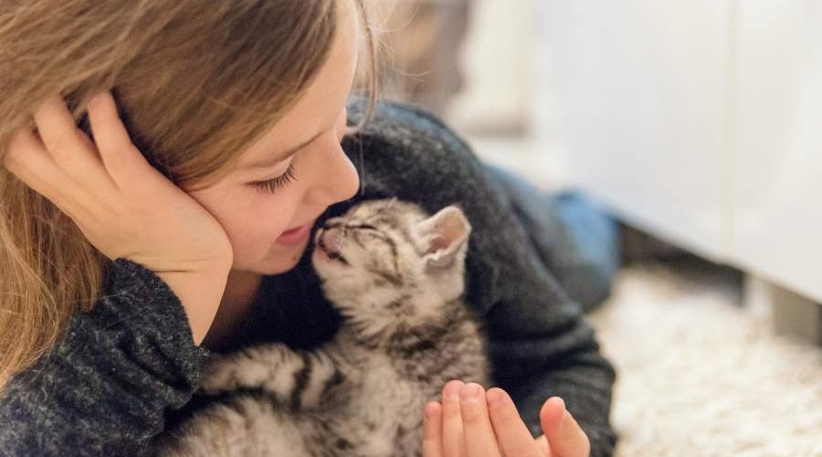 daughter together with little kitten