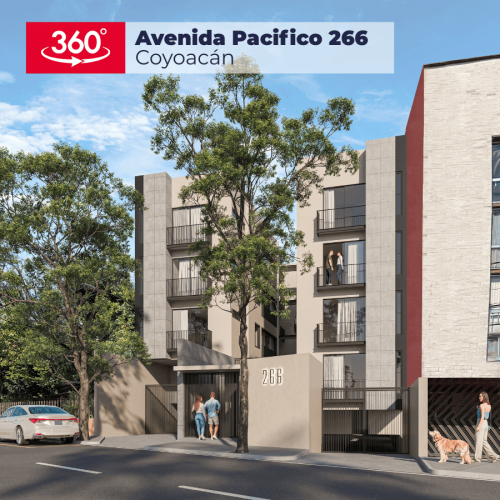 pacifico 266